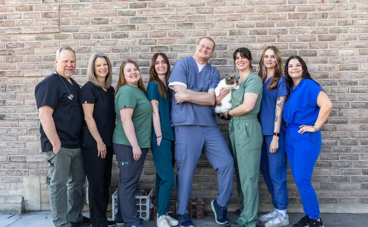 Highland Hills Vet Hospital team providing veterinary care in Highland Utah