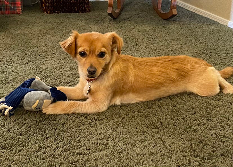 you've gotta be kitten me